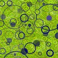 Abstract Background with Circles Illustration Green Colors Retro Pattern Royalty Free Stock Photo
